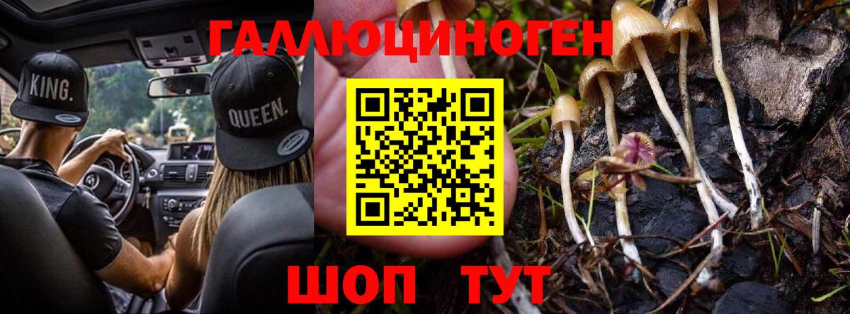 Галлюциногенные грибы мухоморы  Вход с VPN  Галлюциногенные грибы мицелий  Краснодар 